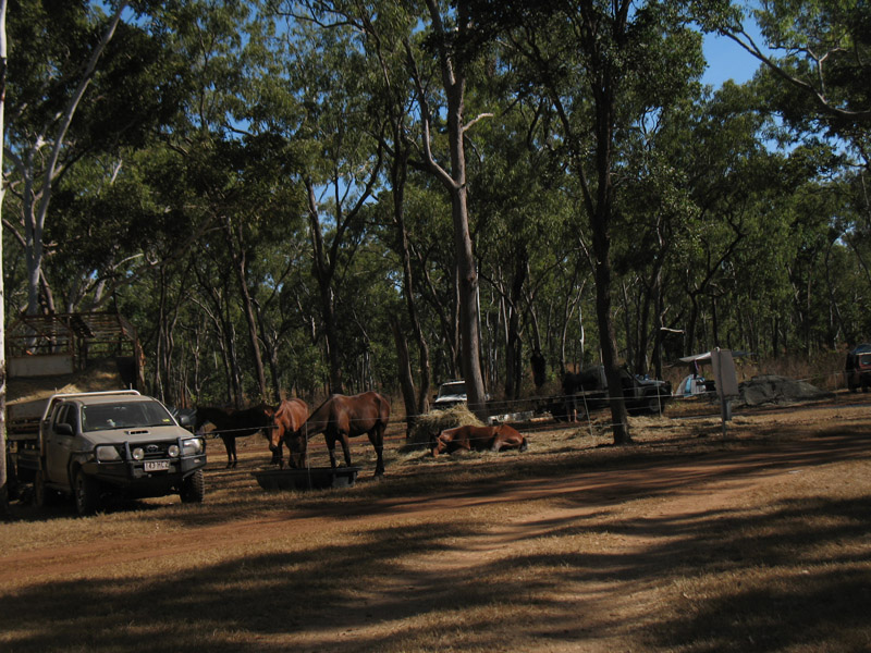 Lakefield National Park - Walkabout